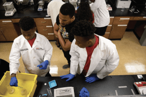 CURE Scholars Program at the University of Maryland, Baltimore
