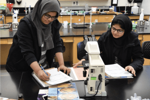 Students participate in the High Intensity Student Engagement Model at Harford Community College.