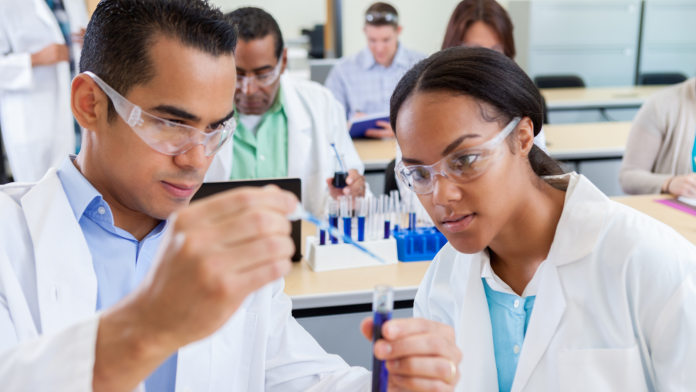 stem-diversity
