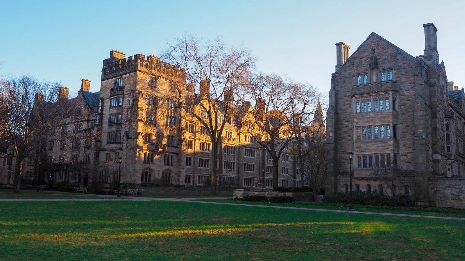 Yale University
