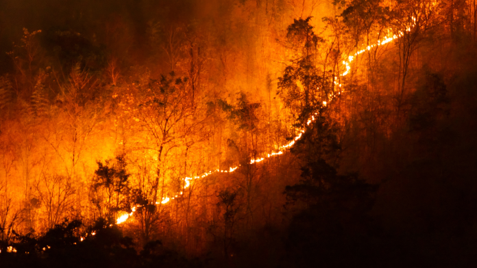 wildfire More than 100 University of Hawaiʻi (UH) students from across 10 campuses were directly impacted by the Maui wildfires.